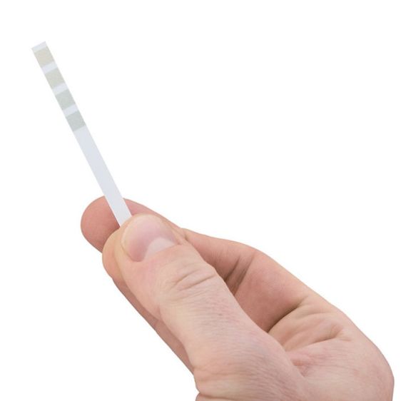 Anti-scale set WMF Perfection XW132000