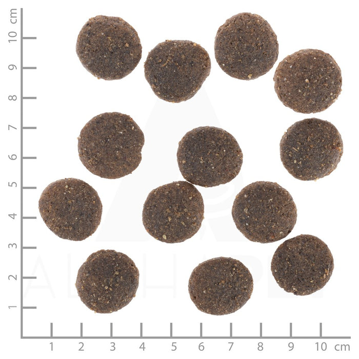 WOLFSBLUT Range Lamb Lamb with rice - dry dog food - 12,5kg