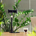 Wozinsky Tablet and Phone Desk Stand Black (WTHBK4) - Uchwyty biurkowe do telefonów<<<HurtelXML