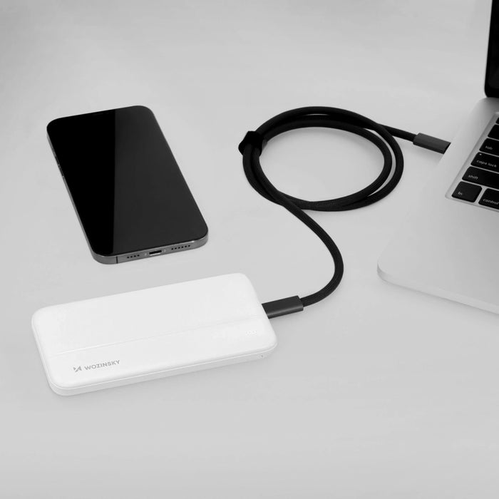 Wozinsky powerbank Li-Po 10000mAh 2 x USB white (WPBWE1)