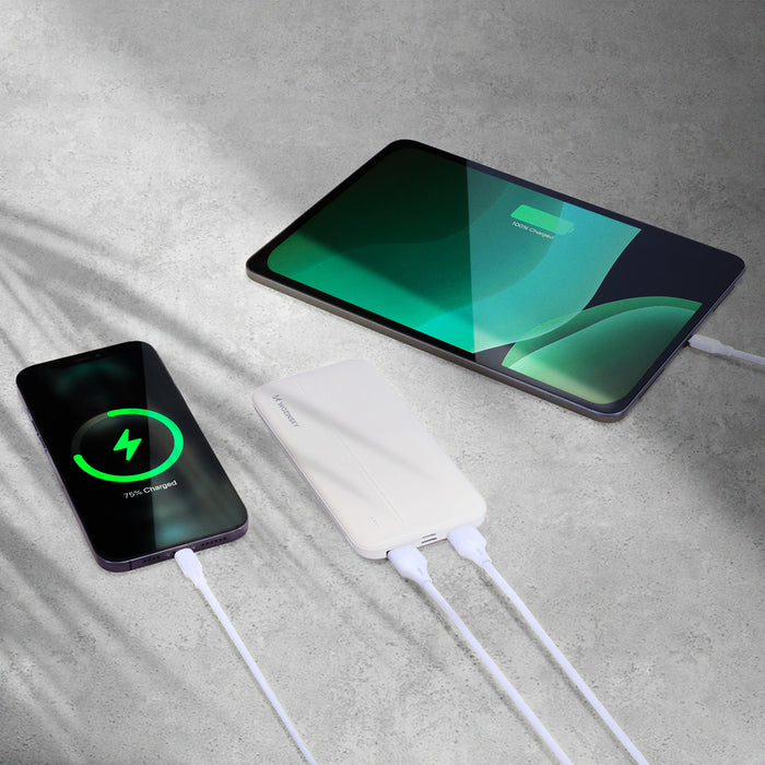 Wozinsky powerbank Li-Po 10000mAh 2 x USB white (WPBWE1)