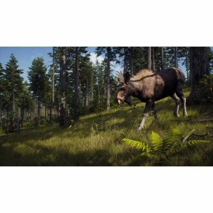 Xbox Series X Video Game THQ Nordic Wild Expeditions (FR) - Електроника Игри<<<Компютри| Електроника<<<BigBuy&&&Видео