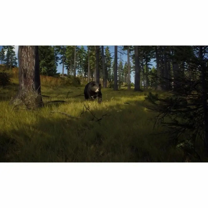 Xbox Series X Video Game THQ Nordic Wild Expeditions (FR) - Електроника Игри<<<Компютри| Електроника<<<BigBuy&&&Видео