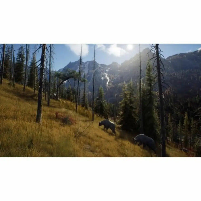 Xbox Series X Video Game THQ Nordic Wild Expeditions (FR) - Електроника Игри<<<Компютри| Електроника<<<BigBuy&&&Видео