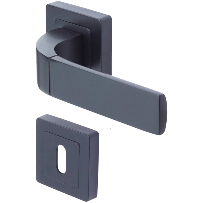 YALE BOLOGNA DOOR HANDLE