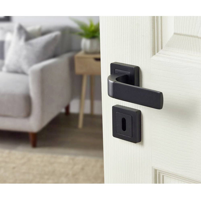 YALE BOLOGNA DOOR HANDLE