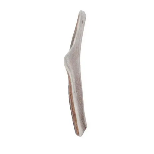 ZOLUX Deer antlers Easy >10kg - chew for dog - 70g - DelicaciesDLP-PRZ<<<For the dogDLP<<<ActionPL