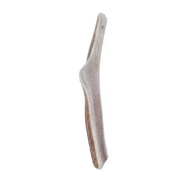 ZOLUX Deer antlers Easy >10kg - chew for dog - 70g - DelicaciesDLP-PRZ<<<For the dogDLP<<<ActionPL