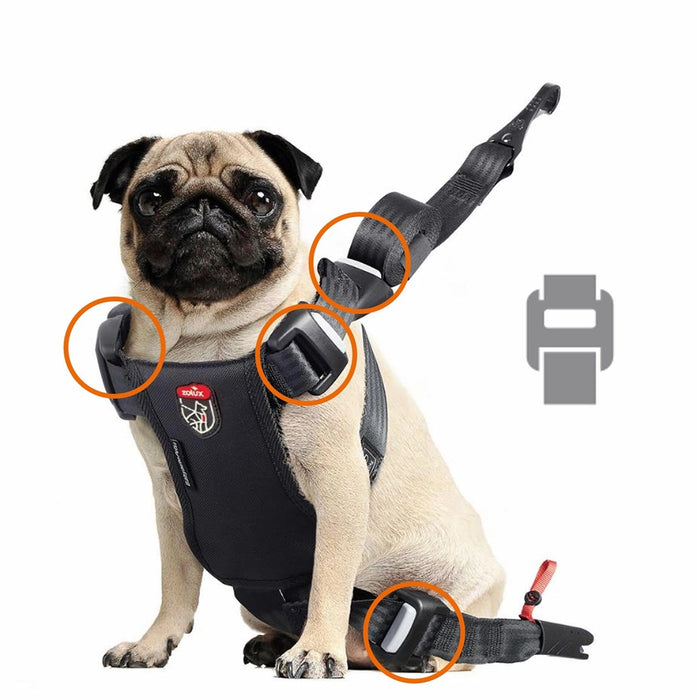 ZOLUX Travel Safe S black - dog harness