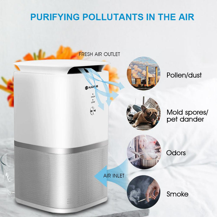 Air purifier AUGIENB